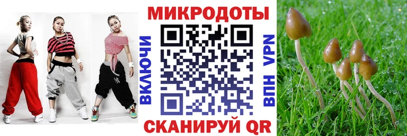 Галлюциногенные грибы мицелий darknet наркотические препараты Апрелевка
