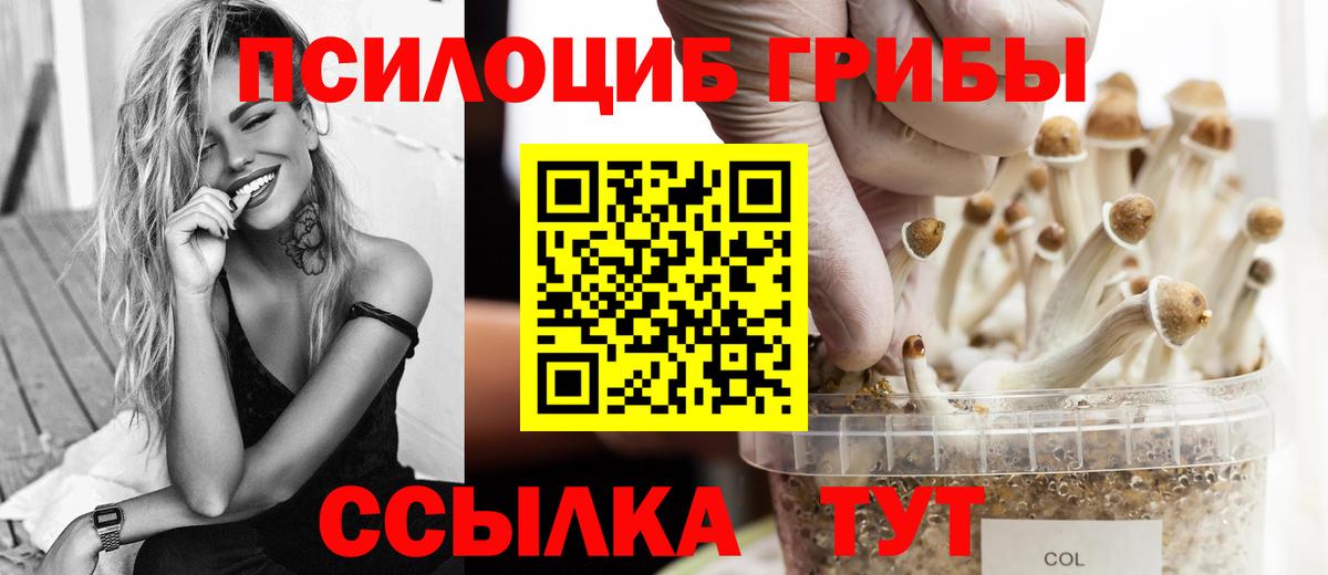 Галлюциногенные грибы ЛСД  Галлюциногенные грибы Psilocybe  Вход с VPN  даркнет сайт  Апрелевка 